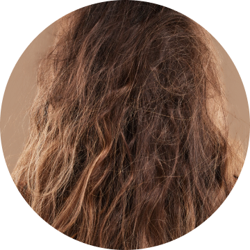 Damaged / Dry