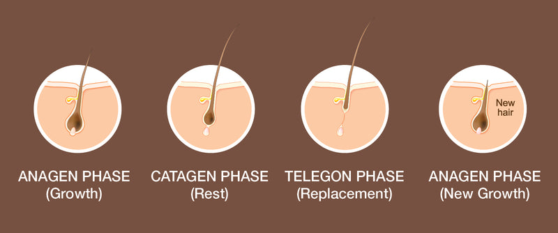 Hair Thinning Rescue